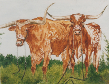 Bevo 13 and 14